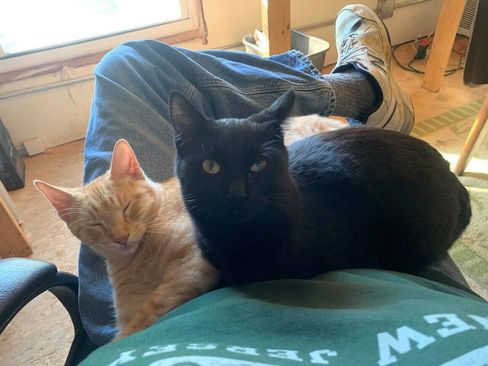 Used 2013 Kia Optima EX w/ Premium Pkg image 20