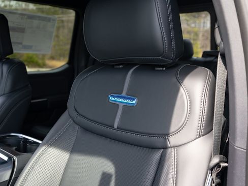 New 2026 Ford F150 Platinum w/ Equipment Group 700A Standard image 29