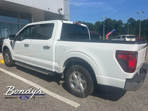 Used 2025 Ford F150 XLT w/ Equipment Group 301A Standard RWD image 5