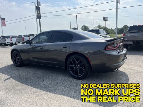 Used 2023 Dodge Charger SXT w/ Blacktop Package RWD image 5
