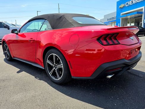 Used 2024 Ford Mustang Premium RWD image 4