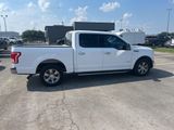 Used 2015 Ford F150 XLT w/ Equipment Group 301A Mid image 3