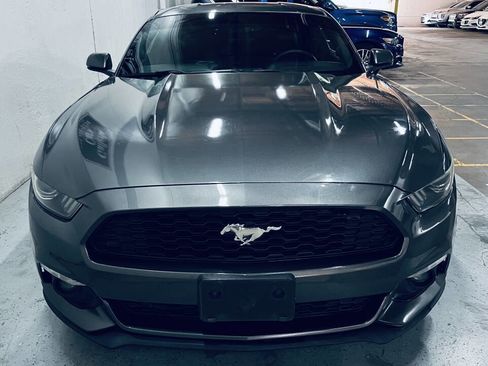 Used 2015 Ford Mustang Premium RWD image 12