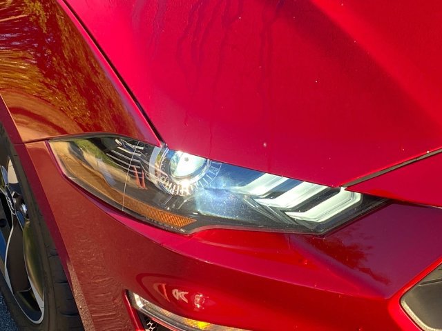 Used 2022 Ford Mustang Coupe w/ Equipment Group 101A RWD image 4