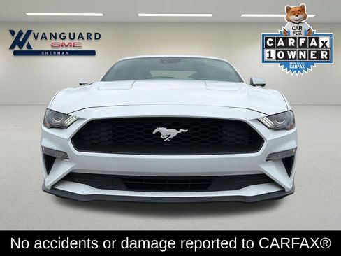 Used 2023 Ford Mustang Premium w/ Equipment Group 201A RWD image 2