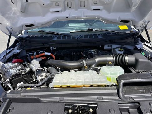 Used 2025 Ford F150 XLT w/ Equipment Group 301A Standard image 35