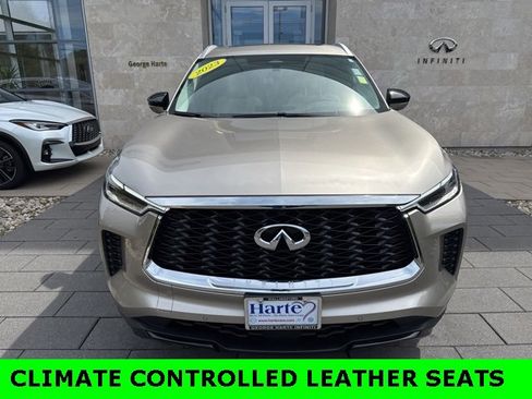 Certified 2023 INFINITI QX60 Luxe w/ Cargo Package image 2