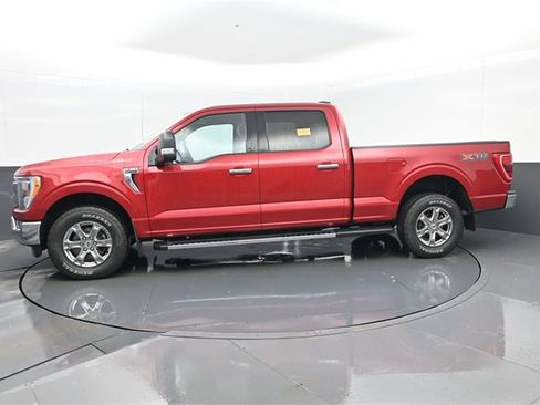 Used 2021 Ford F150 XLT w/ Equipment Group 302A High image 5