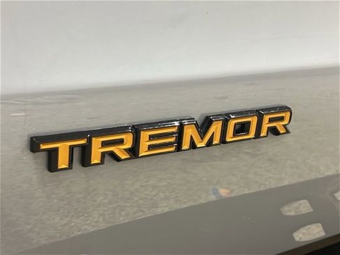 Used 2025 Ford Expedition Tremor image 29