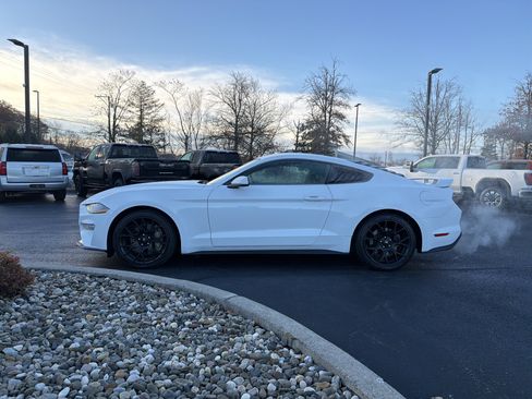 Used 2019 Ford Mustang Coupe w/ Ecoboost Performance Package image 9