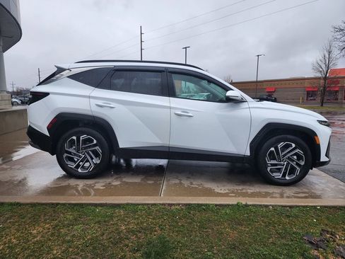 Used 2025 Hyundai Tucson Limited image 4