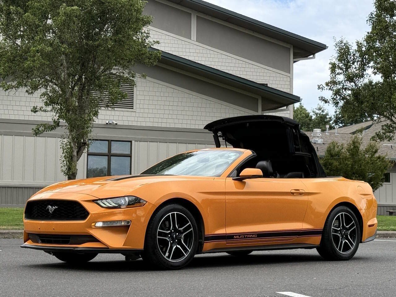 Used 2018 Ford Mustang Premium w/ Equipment Group 201A RWD image 7