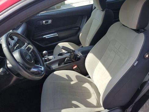 Used 2019 Ford Mustang GT w/ Equipment Group 301A RWD image 24