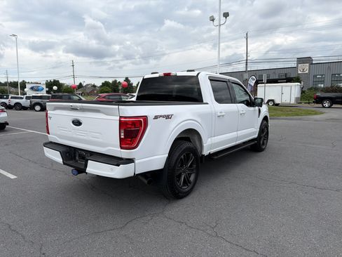 Used 2021 Ford F150 XLT w/ Equipment Group 302A High AWD/4WD image 3