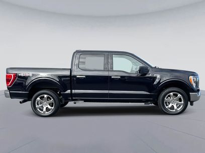 Used 2023 Ford F150 XLT w/ Equipment Group 302A High