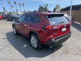 Used 2020 Toyota RAV4 XLE Premium image 2