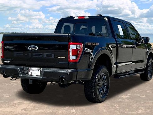 Used 2023 Ford F150 Tremor w/ Equipment Group 402A High AWD/4WD image 8