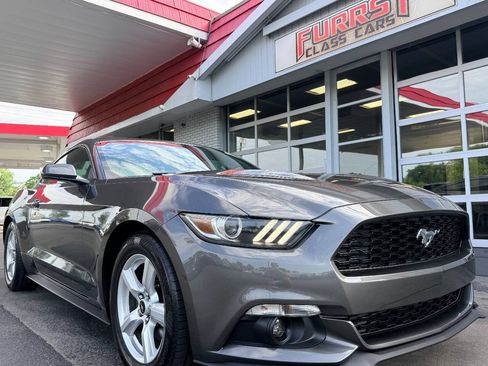 Used 2015 Ford Mustang Coupe RWD image 8