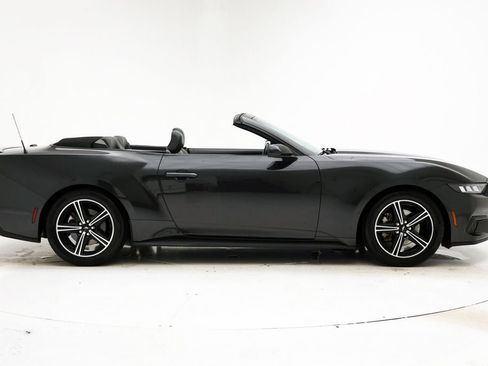 Used 2024 Ford Mustang Premium image 6