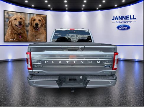 Used 2023 Ford F150 Platinum w/ Equipment Group 701A High AWD/4WD image 7