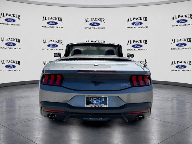 New 2026 Ford Mustang Convertible w/ Mustang Nite Pony Package RWD image 8