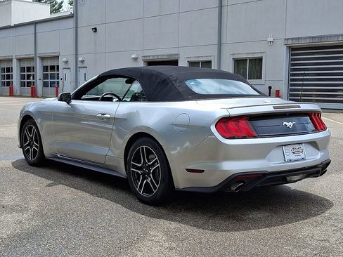 Used 2019 Ford Mustang Premium RWD image 6