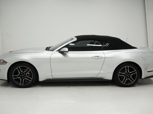 Used 2019 Ford Mustang Premium RWD image 7