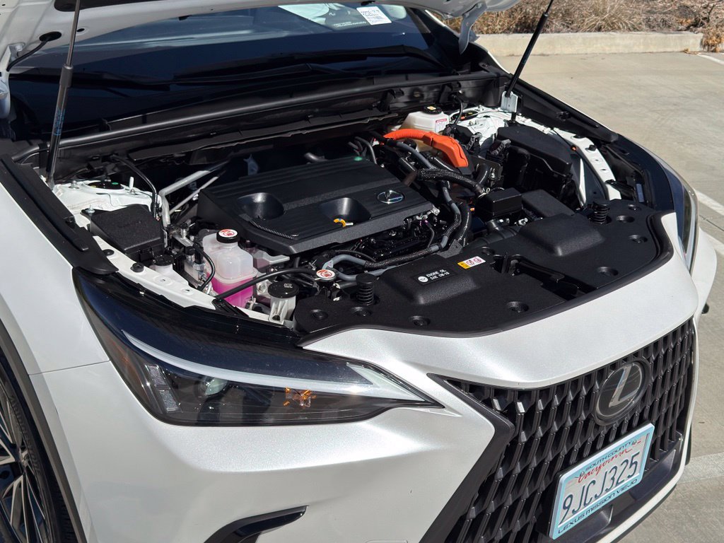 Certified 2024 Lexus NX 350h AWD w/ Cold Area Package image 6