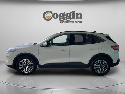 Used 2020 Ford Escape SEL image 3