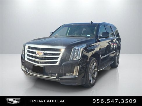 Used 2019 Cadillac Escalade Luxury image 1