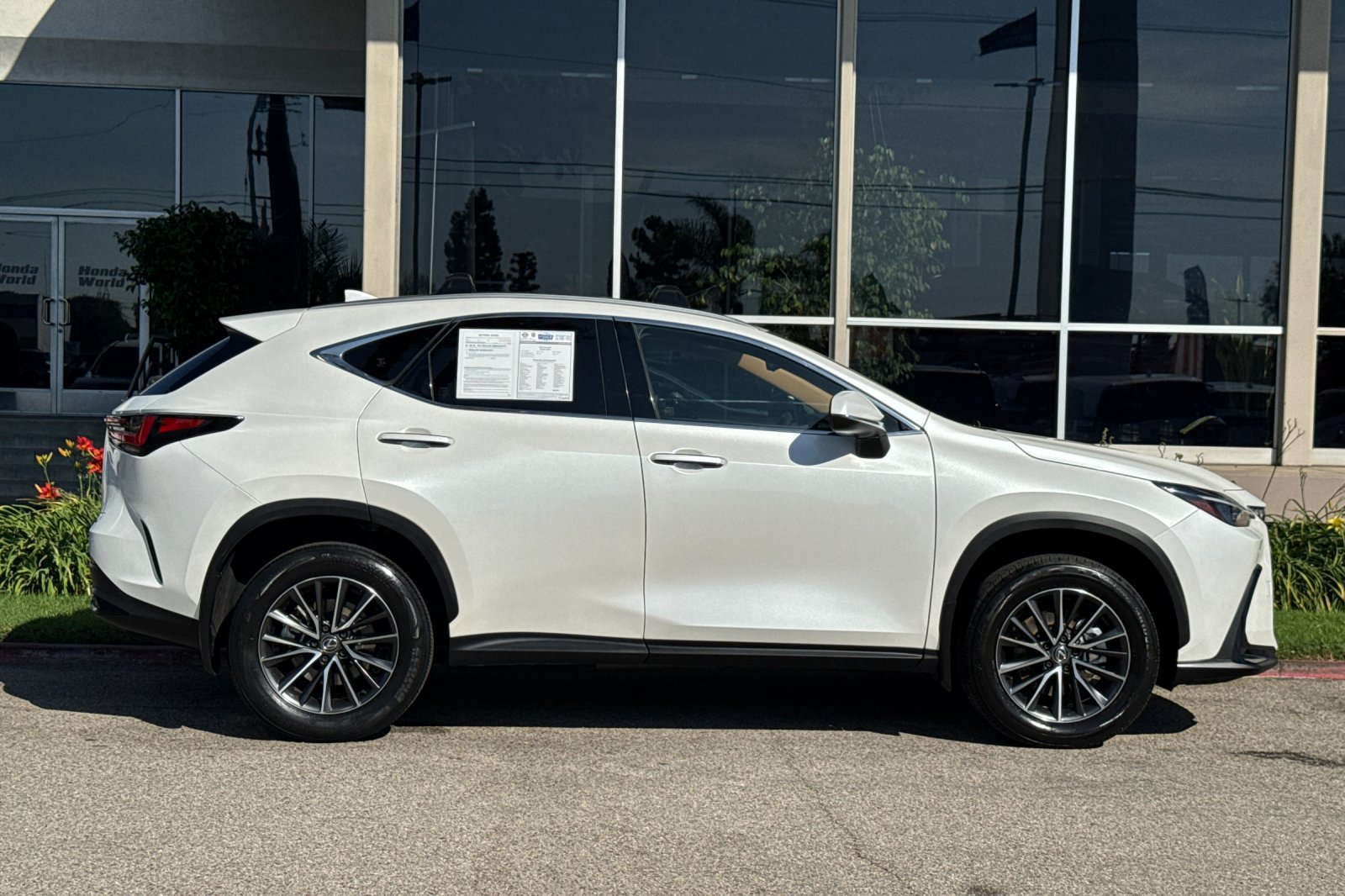 Used 2024 Lexus NX 350h AWD image 3