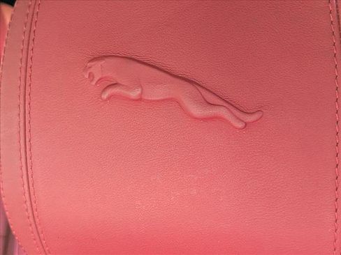 Certified 2025 Jaguar F-PACE R-Dynamic S image 13