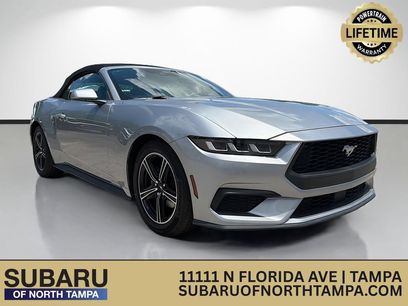 Used 2024 Ford Mustang Premium