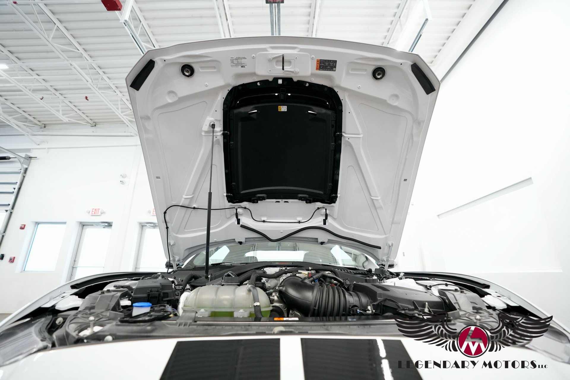 Used 2022 Ford Mustang Shelby GT500 RWD image 44