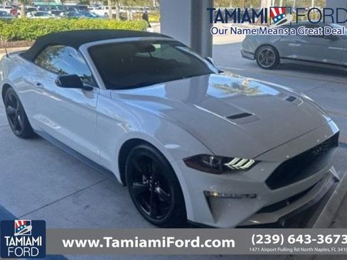 Used 2021 Ford Mustang Premium w/ Equipment Group 201A image 1