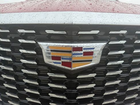 Certified 2024 Cadillac XT5 Premium Luxury AWD/4WD image 19