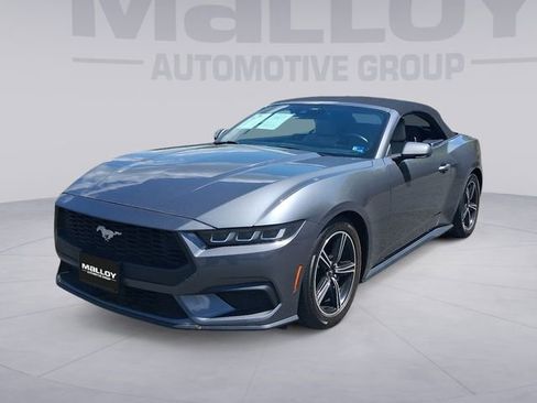 Used 2024 Ford Mustang Premium RWD image 1