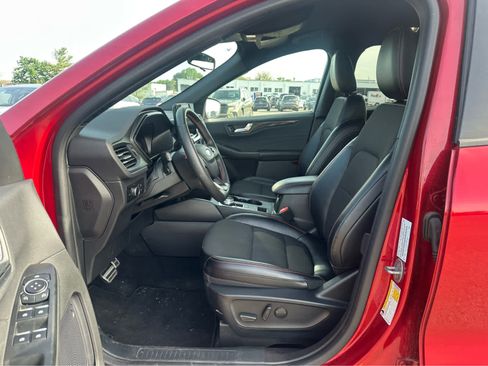 Used 2024 Ford Escape ST-Line w/ Tech Pack #1 AWD/4WD image 9
