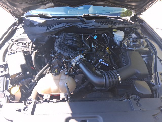 Used 2016 Ford Mustang Coupe w/ Equipment Group 051A RWD image 22
