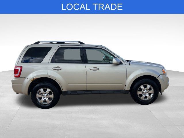 Used 2011 Ford Escape Limited w/ 302A Rapid Spec Order Code AWD/4WD image 7