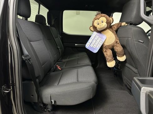 New 2023 Ford F150 XLT w/ Equipment Group 302A High image 14