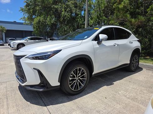Used 2025 Lexus NX 350h AWD w/ Cold Area Package image 3