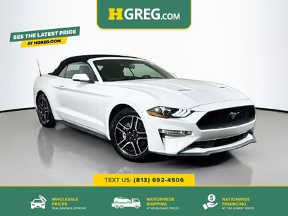 Used 2019 Ford Mustang Premium
