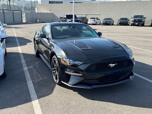 Used 2021 Ford Mustang EcoBoost w/ Equipment Group 101A image 2