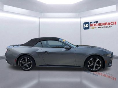 Used 2024 Ford Mustang Premium