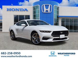 Used 2024 Ford Mustang Premium RWD video 1