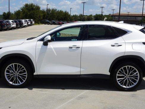 Certified 2025 Lexus NX 350 AWD w/ Premium Package image 5