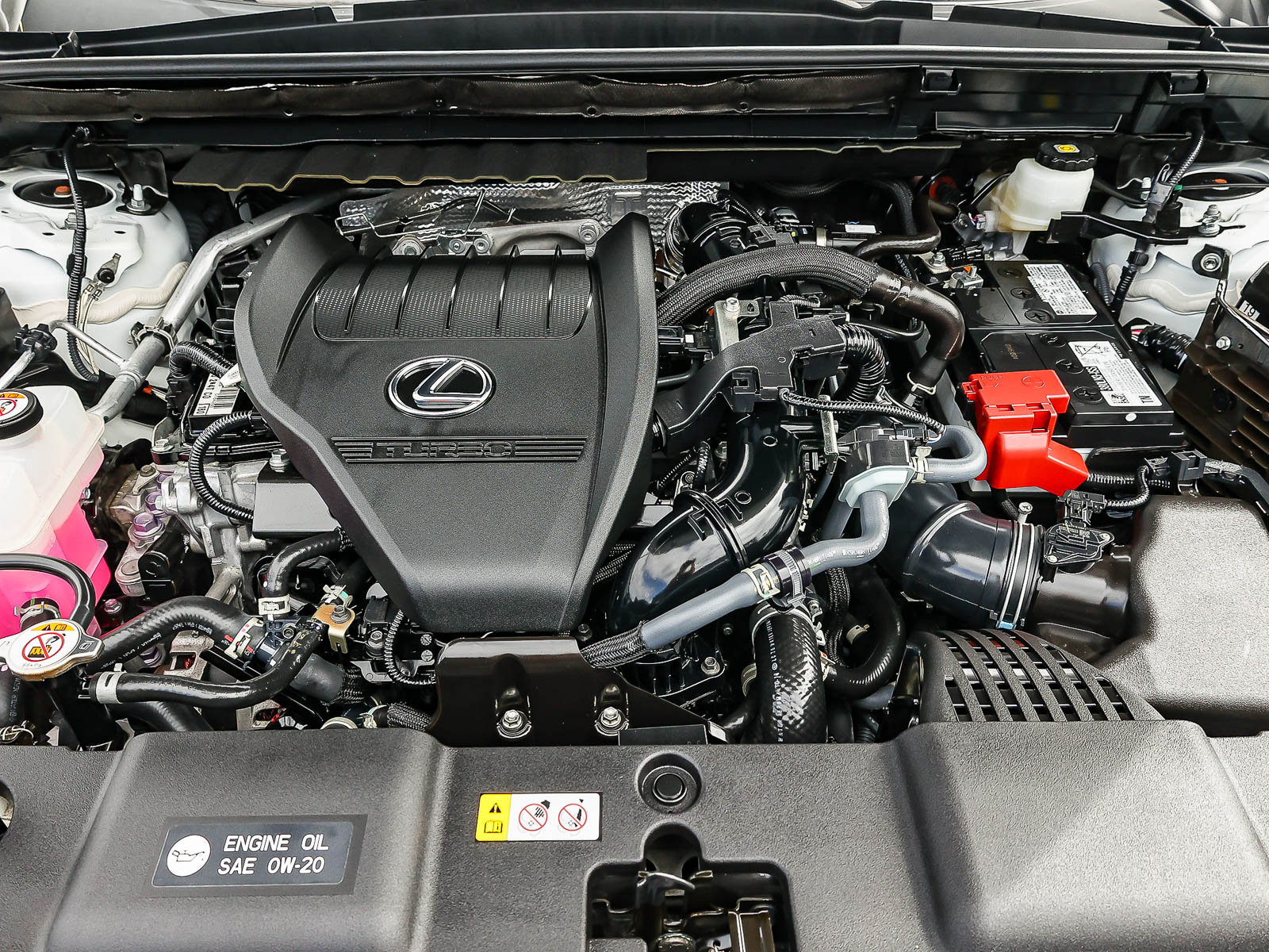 Used 2024 Lexus NX 350 F Sport AWD/4WD image 12