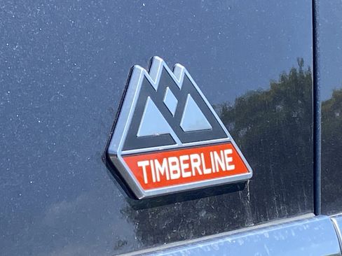 Used 2022 Ford Expedition Timberline AWD/4WD image 5