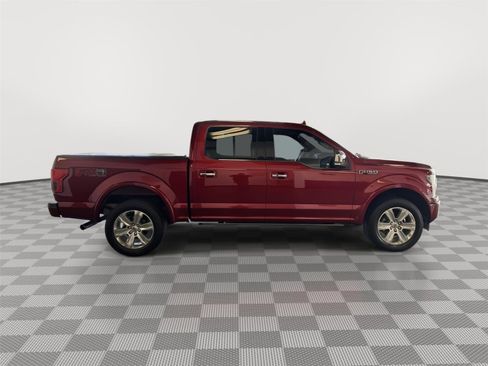 Used 2019 Ford F150 Platinum w/ Equipment Group 701A Luxury image 6